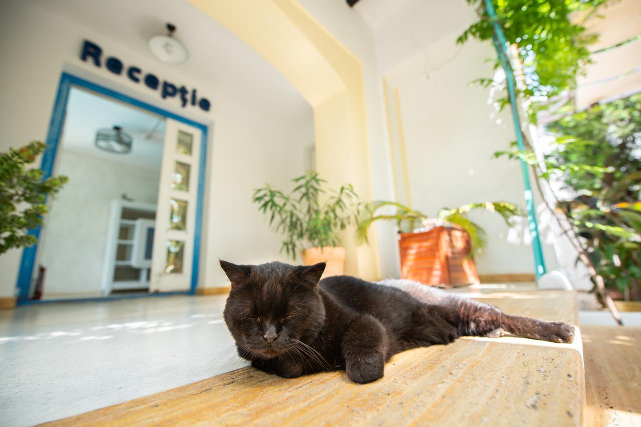 Villa Pontica Năvodari Eksteriør billede